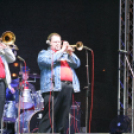 Pápai Cicege és Bornapok 2013 - Borszombat