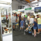 Pápai Agrárexpo - 2018 - Szombat