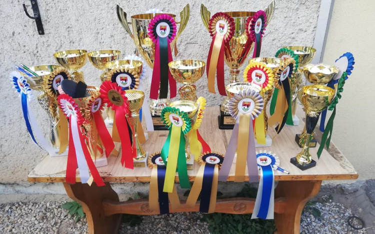 Országos bajnok lett a Pápai Lovas Club!