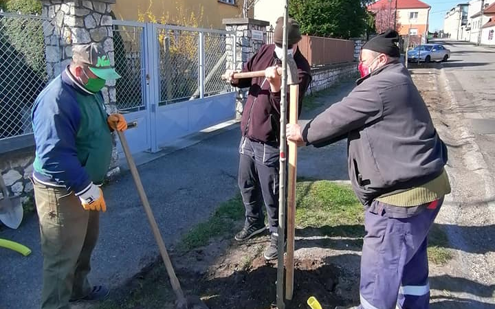 Ültetik az új fasort a Szalmavári utcában