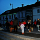 Flashmob az Állatok Világnapján - Pápa