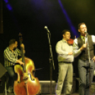 Pápai Csülök Cicege és Borfesztivál (2016) - Budapest Bár