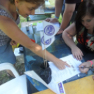 Pápai Játékfesztivál 2016 - Szombat