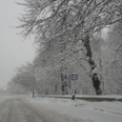 40 cm hó Pápán - 2013