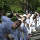 Mozdulj Pápa - 2016