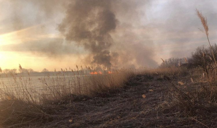 Kigyulladt a nádas Nemesgörzsönynél