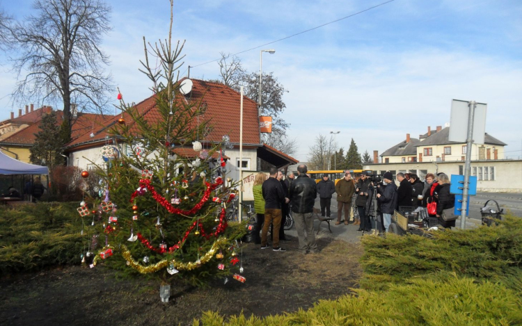 Csaknem százezer forintot gyűjtöttek az erzsébetvárosiak