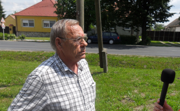 Borsosgyőri zebrák: Már folynak az előkészületek