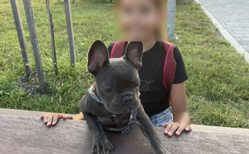 Vizsgálja a rendőrség a pápai kutyatámadás ügyét