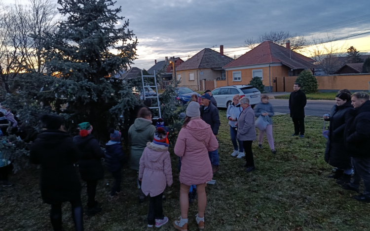 Közösségi fenyődíszítés az Erzsébetvárosban és a Felsővárosban