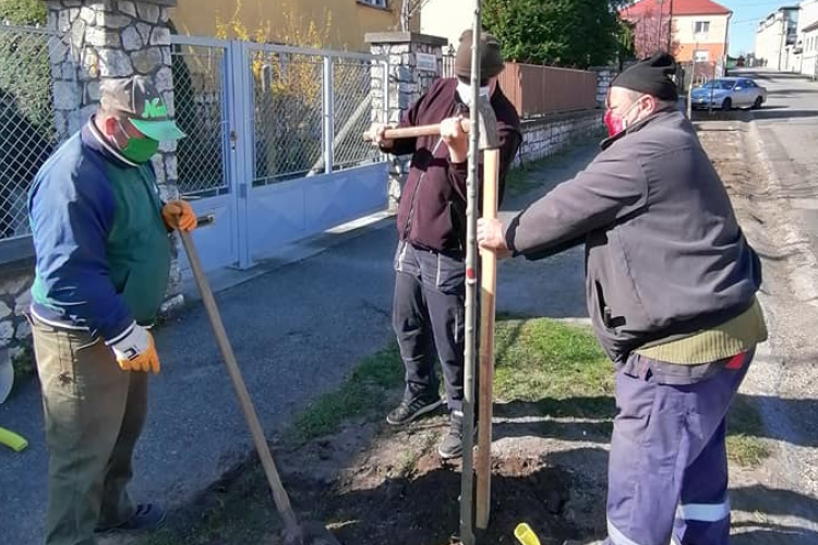 Ültetik az új fasort a Szalmavári utcában