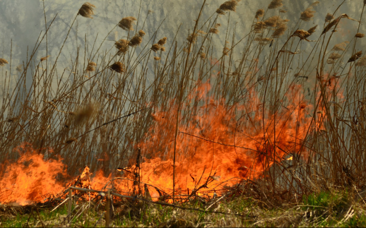 Ég a nádas Mezőlak és Nagyacsád között