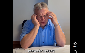 Vadász Krisztina: Mély döbbenet, zavartság és értetlenség