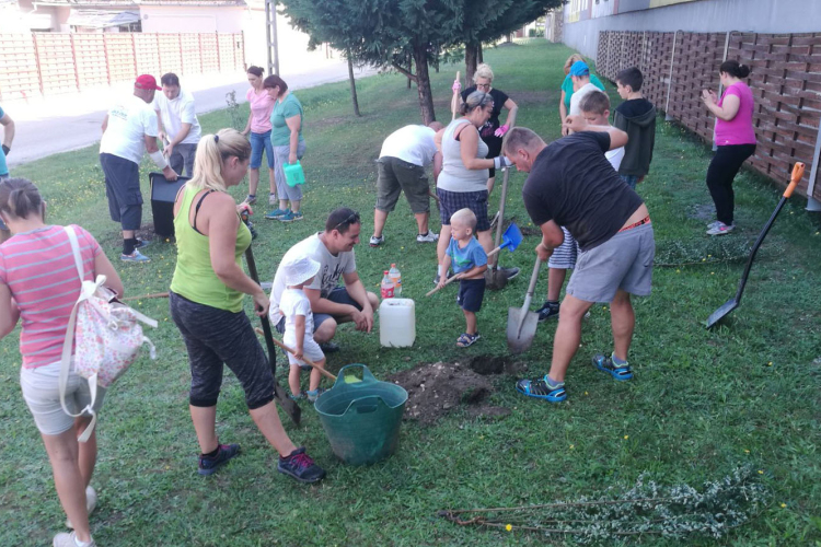 Több tucat facsemetét ültettek el pápai önkéntesek