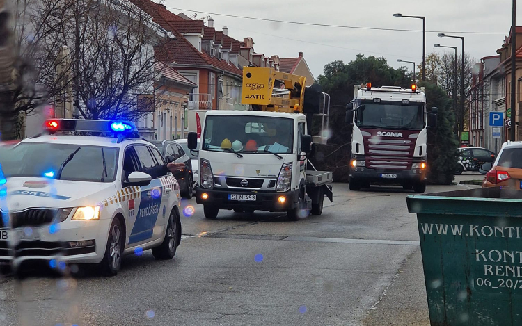 Csütörtökön szállítják a város karácsonyfáját, forgalomkorlátozásra kell számítani
