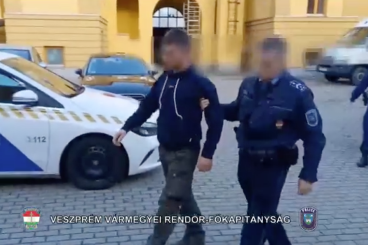 Malacokat loptak, lebuktak