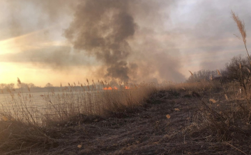 Kigyulladt a nádas Nemesgörzsönynél