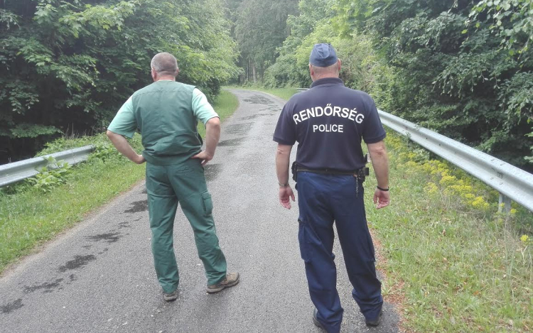 Közös szolgálat az erdők védelméért