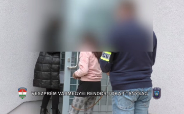 Emberölés vádjával állhat bíróság elé a lovászpatonai nő