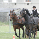 Pápai Agrárexpo 2017 - Szombat