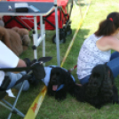 2 x CAC Nemzeti Kutyakiállítás – Pápa