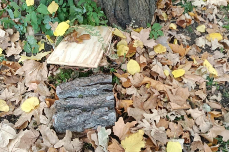 Megrongálták, elvitték a manó ajtócskákat az Erzsébet ligetből