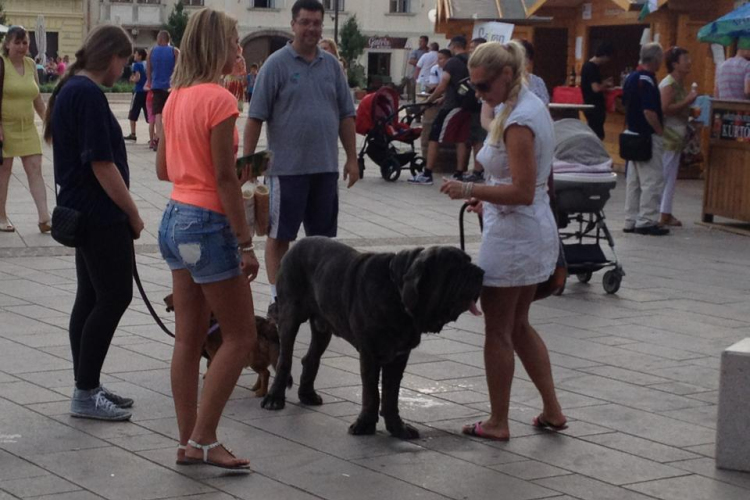 Pápai Játékfesztivál - Vasárnap