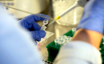 Egy új pozitív esetet azonosítottak Pápán