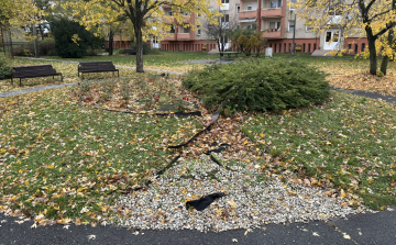 Közösségi munkában virágosítanának a Kiliánon