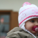 2. Nemesgörzsönyi Böllérfesztivál