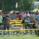 2 x CAC Nemzeti Kutyakiállítás – Pápa