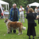 Civil Majális - Pápa - 2013