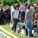 2 x CAC Nemzeti Kutyakiállítás – Pápa