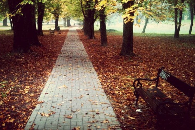 Fegyházat kaptak a várkerti rablók