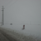 Havazás Pápán - 2013