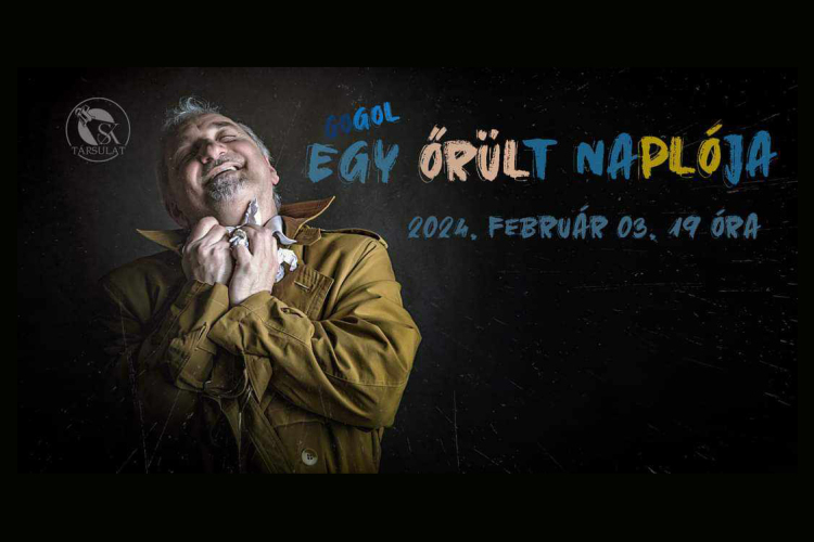 Egy őrült naplója – az S.K. Társulat Kamaraszínházának színpadi játéka