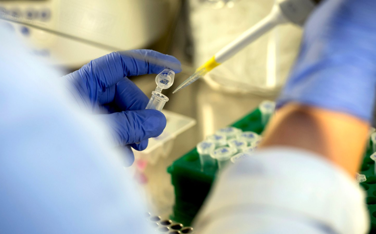 Egy új pozitív esetet azonosítottak Pápán