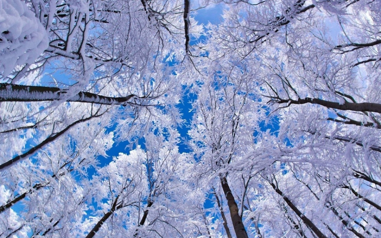 Lefújták a bakonyi túlélőtúrát!