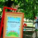 Pegazus Parádé - 2017