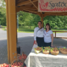 Városi Gyemeknak - 2025 - Pápa 