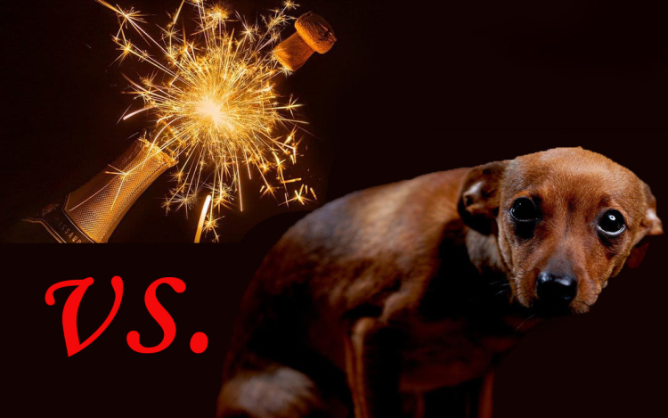 Szilveszter egyik nagy kérdése!