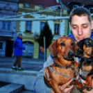 Flashmob az Állatok Világnapján - Pápa