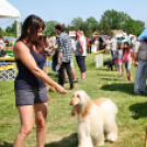 2 x CAC Nemzeti Kutyakiállítás – Pápa