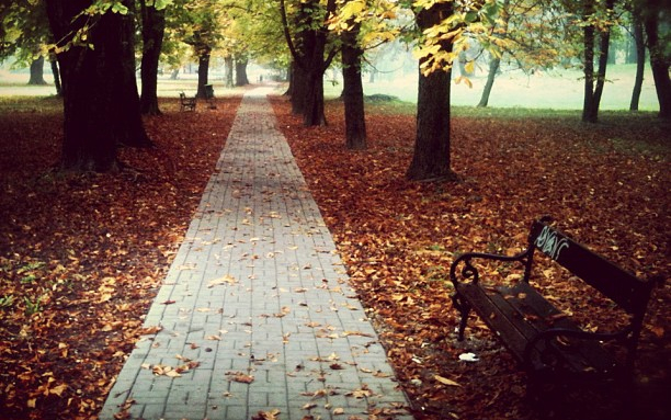 Fegyházat kaptak a várkerti rablók