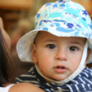 Vajda Péter Lakótelepi Nap