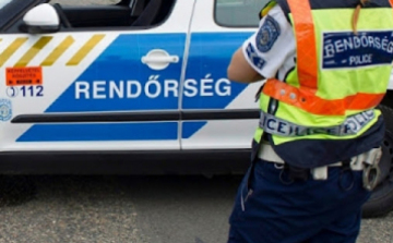 Néhány órán belül megtalálták a kutyát az egyenruhások