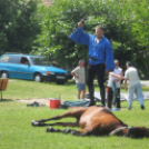 Süss Fel Nap - PÁNKE Gyermeknap - Tapolcafő