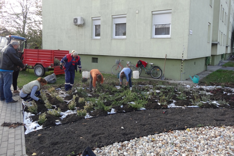 Végzi az őszi munkálatokat a Városgondnokság