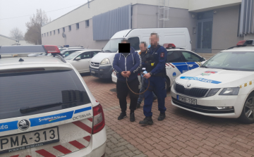 Bűnszervezetben elkövetett emberkereskedelem és kényszermunka a vád