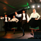 Szent Márton-napi Újbor Ünnepe - Pápa - 2018